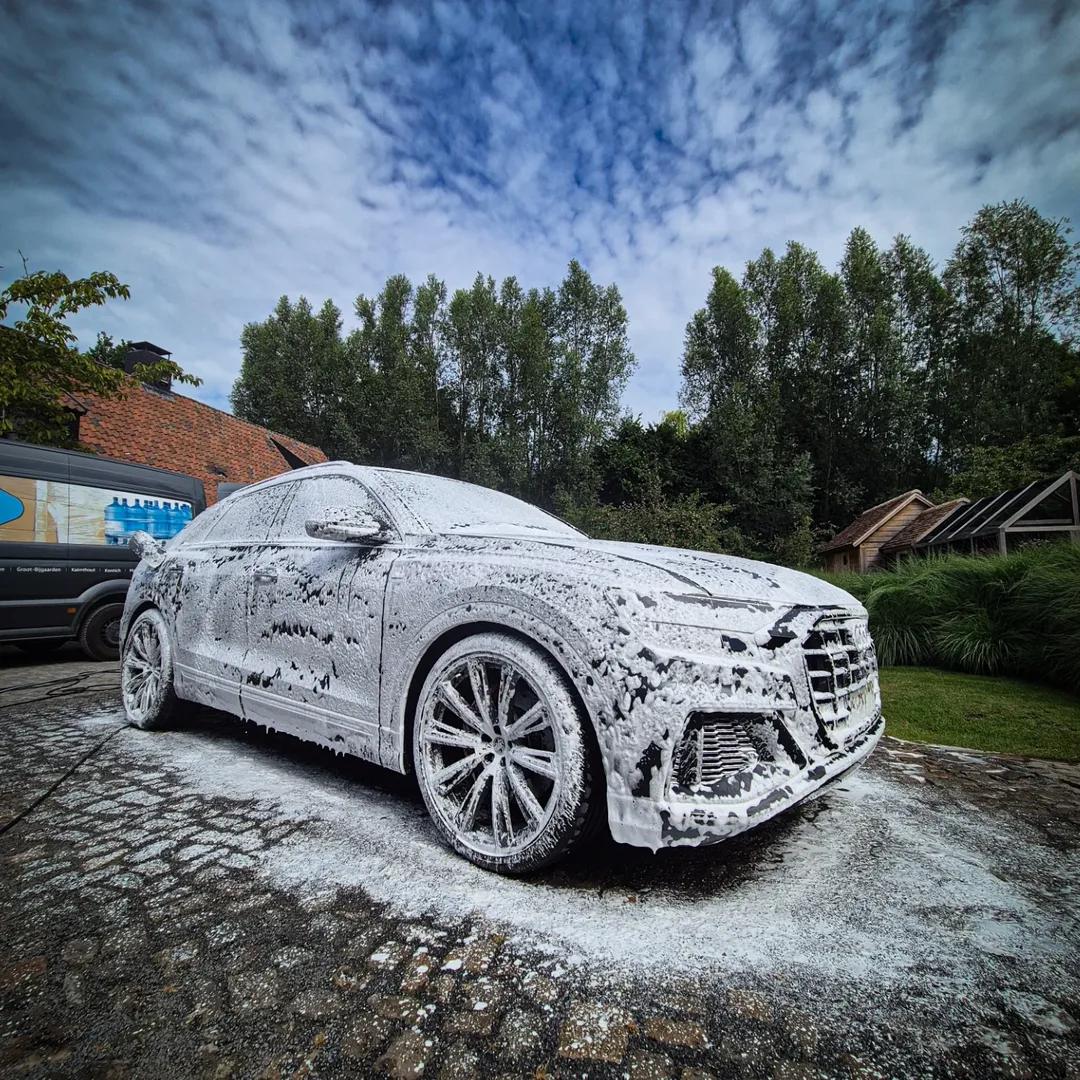 Detail Wash Audi Q8 Hybride